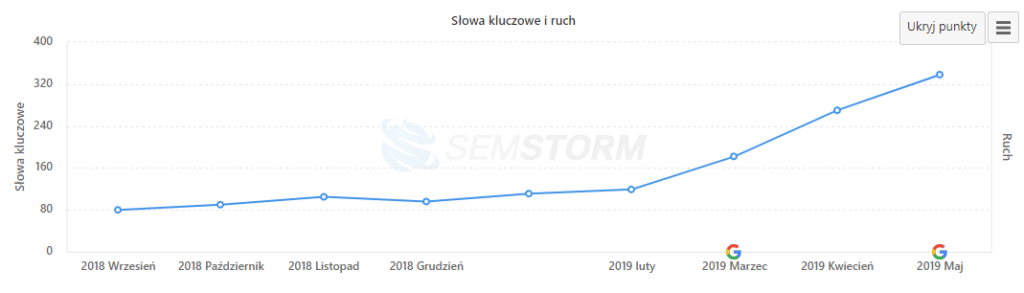 słowa kluczowe w top10 dla naia